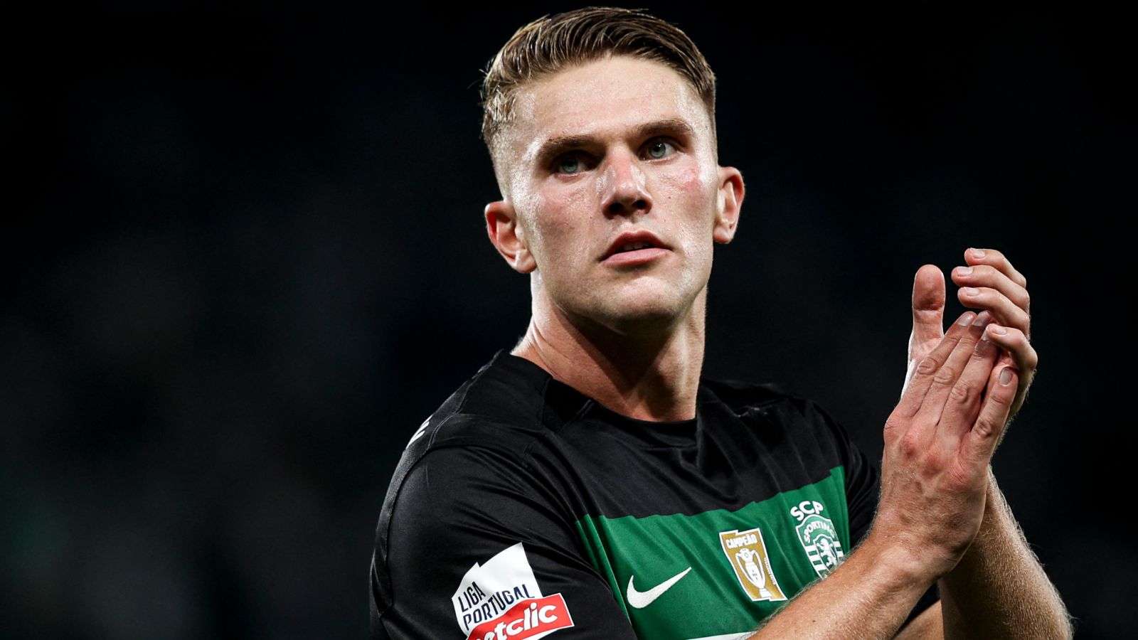 類似境地 類似境地