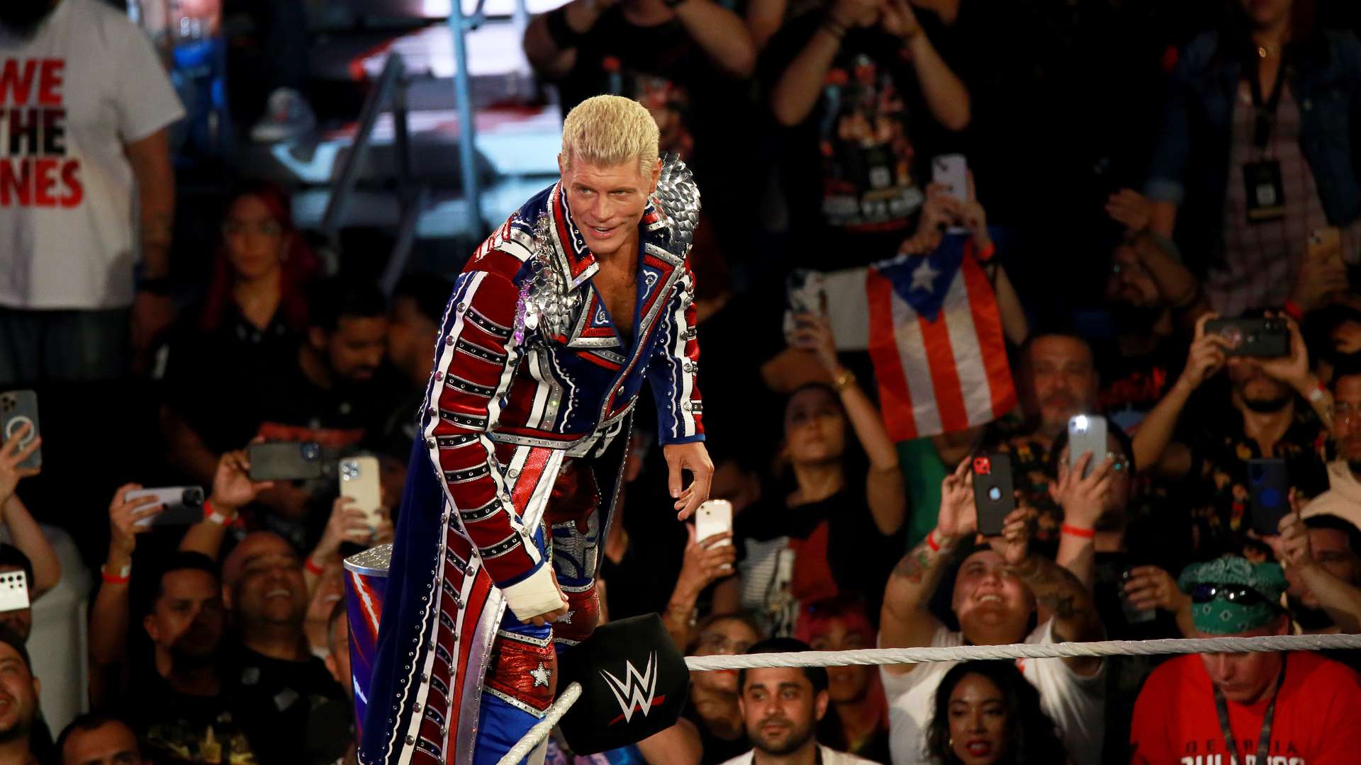 的高效表现 的高效表现