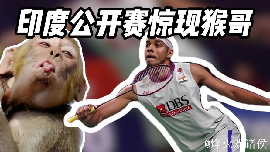 印度羽毛球公开赛:观众席惊现猴子闯入 印度羽毛球公开赛:观众席惊现猴子闯入