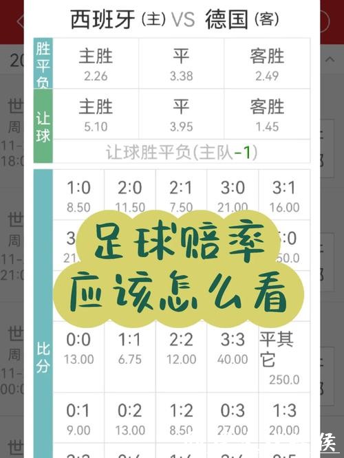 世界杯买球入口:赔率与投注技巧解析 世界杯买球入口:赔率与投注技巧解析